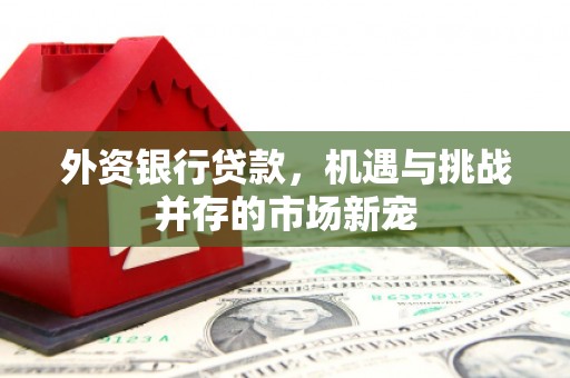 凤凰外资银行贷款，机遇与挑战并存的市场新宠