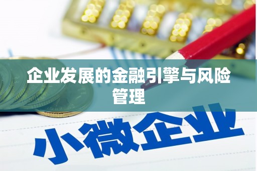 凤凰企业发展的金融引擎与风险管理