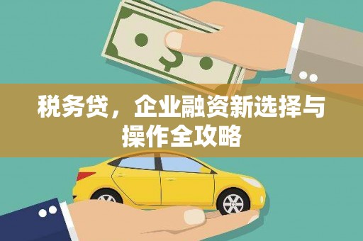 凤凰税务贷，企业融资新选择与操作全攻略