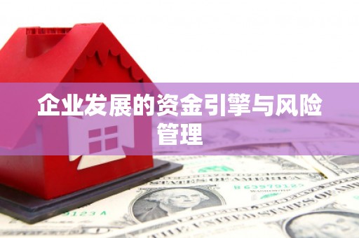 凤凰企业发展的资金引擎与风险管理