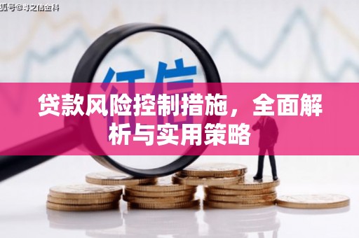凤凰贷款风险控制措施，全面解析与实用策略