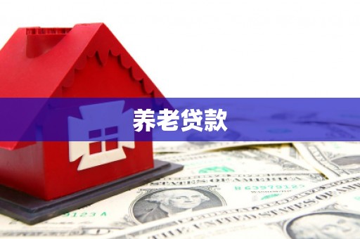 凤凰养老贷款