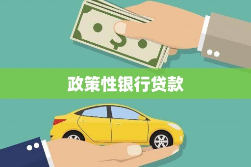 凤凰政策性银行贷款