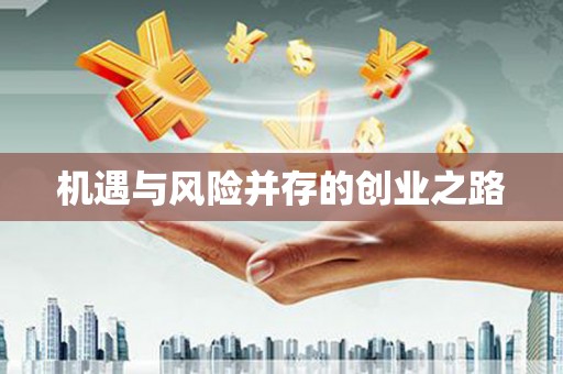 凤凰机遇与风险并存的创业之路