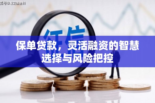 凤凰保单贷款，灵活融资的智慧选择与风险把控