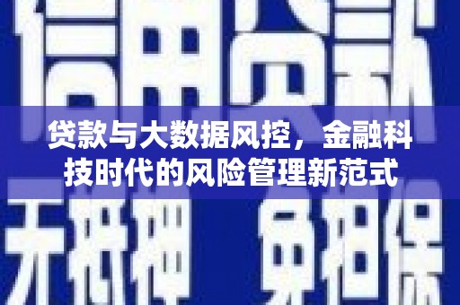 凤凰贷款与大数据风控，金融科技时代的风险管理新范式