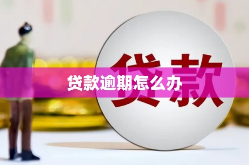 凤凰贷款逾期怎么办