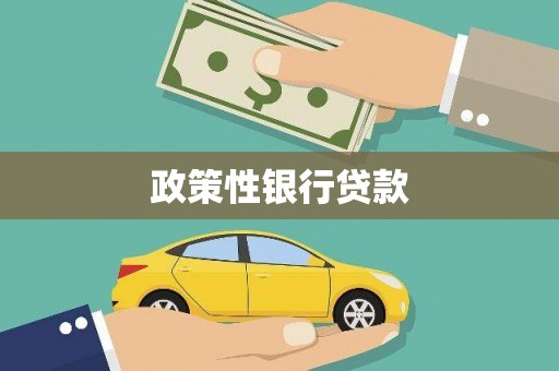 凤凰政策性银行贷款