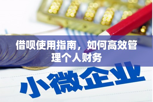 凤凰借呗使用指南，如何高效管理个人财务