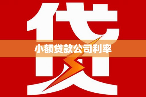 凤凰小额贷款公司利率