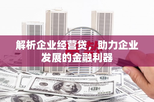 凤凰解析企业经营贷，助力企业发展的金融利器