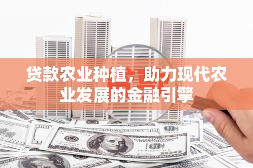 凤凰贷款农业种植，助力现代农业发展的金融引擎
