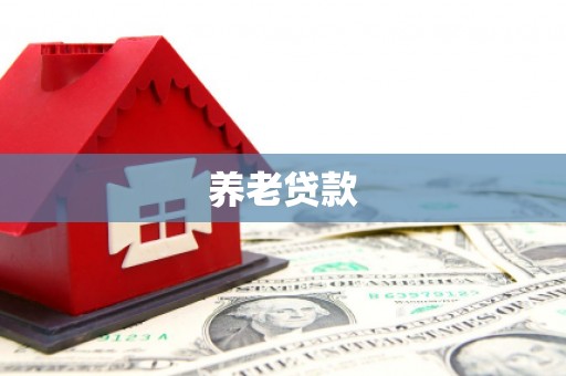 凤凰养老贷款