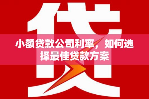 凤凰小额贷款公司利率，如何选择最佳贷款方案