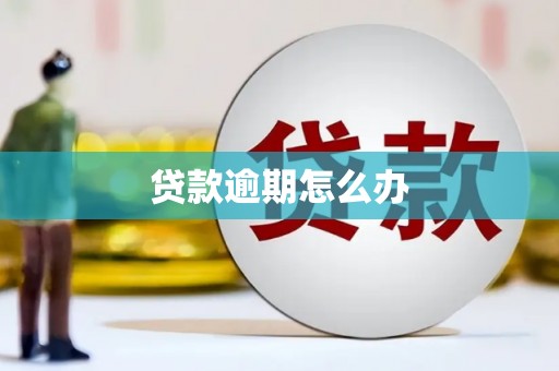 凤凰贷款逾期怎么办
