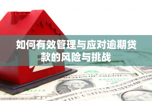 凤凰如何有效管理与应对逾期贷款的风险与挑战