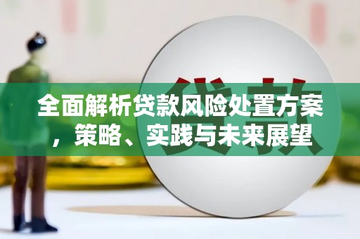凤凰全面解析贷款风险处置方案，策略、实践与未来展望