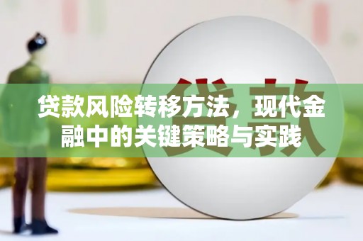 凤凰贷款风险转移方法，现代金融中的关键策略与实践