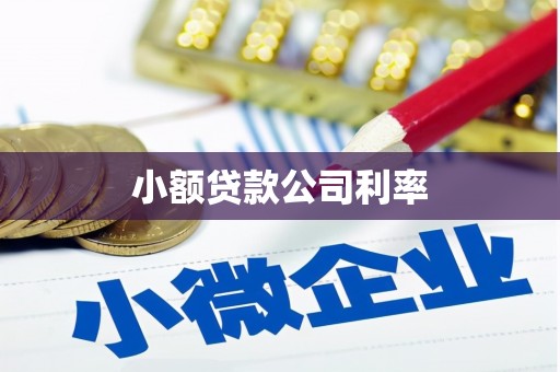 凤凰小额贷款公司利率