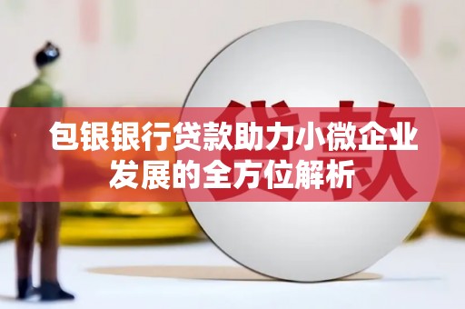 凤凰包银银行贷款助力小微企业发展的全方位解析