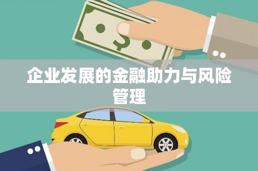 凤凰企业发展的金融助力与风险管理