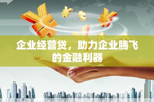 凤凰企业经营贷，助力企业腾飞的金融利器