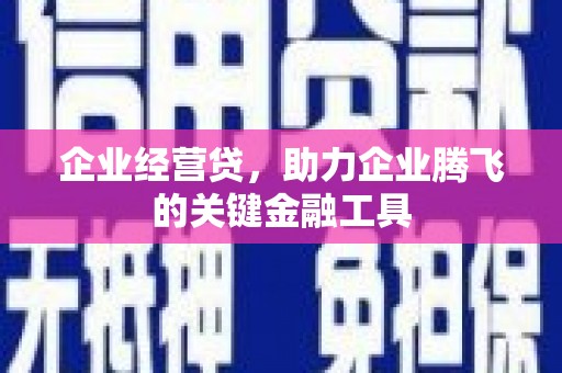 凤凰企业经营贷，助力企业腾飞的关键金融工具