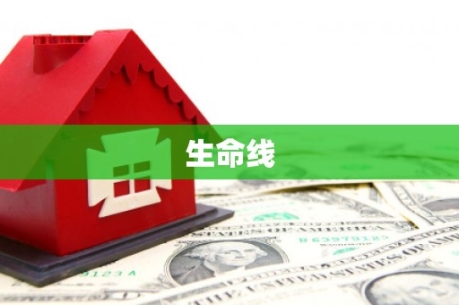 凤凰生命线