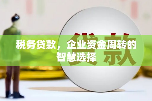 凤凰税务贷款，企业资金周转的智慧选择