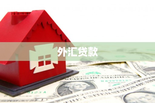凤凰外汇贷款