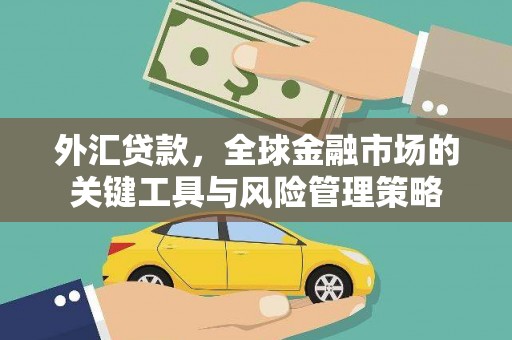凤凰外汇贷款，全球金融市场的关键工具与风险管理策略