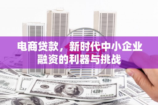 凤凰电商贷款，新时代中小企业融资的利器与挑战