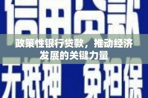 凤凰政策性银行贷款，推动经济发展的关键力量