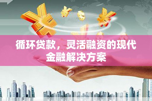 凤凰循环贷款，灵活融资的现代金融解决方案