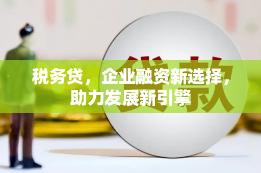 凤凰税务贷，企业融资新选择，助力发展新引擎