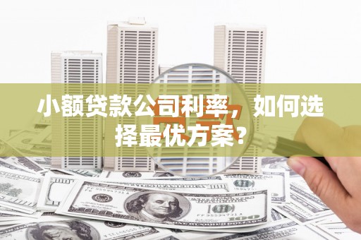 凤凰小额贷款公司利率，如何选择最优方案？