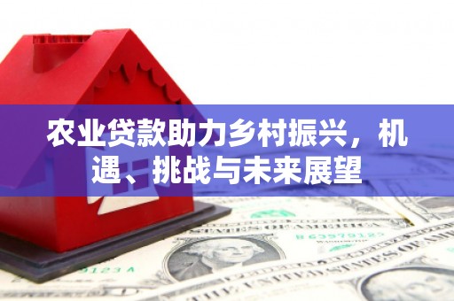 凤凰农业贷款助力乡村振兴，机遇、挑战与未来展望