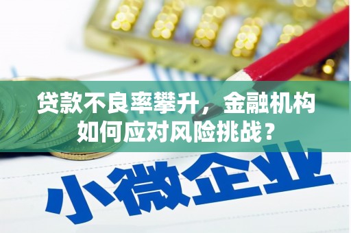 凤凰贷款不良率攀升，金融机构如何应对风险挑战？