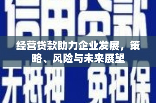 凤凰经营贷款助力企业发展，策略、风险与未来展望