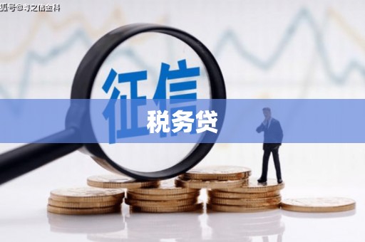 凤凰税务贷