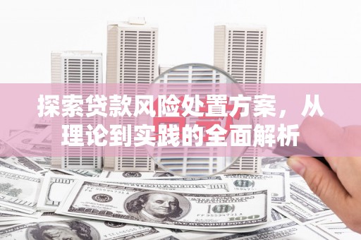 凤凰探索贷款风险处置方案，从理论到实践的全面解析