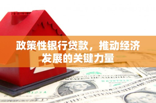 凤凰政策性银行贷款，推动经济发展的关键力量