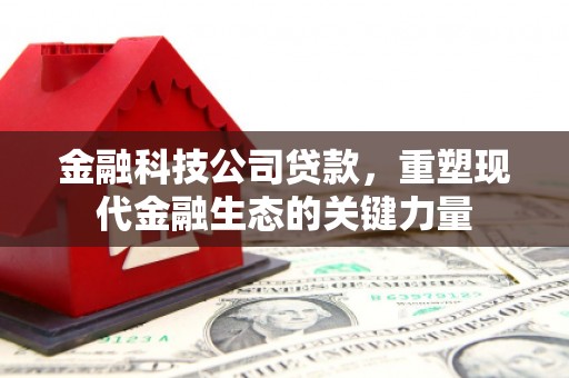 凤凰金融科技公司贷款，重塑现代金融生态的关键力量