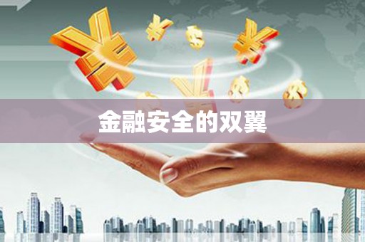 凤凰金融安全的双翼