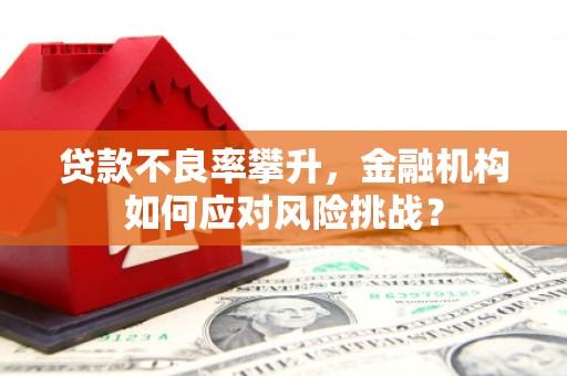 凤凰贷款不良率攀升，金融机构如何应对风险挑战？