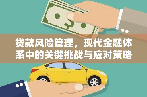 凤凰贷款风险管理，现代金融体系中的关键挑战与应对策略