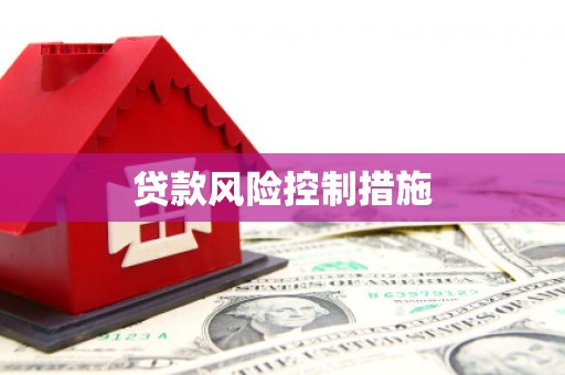 凤凰贷款风险控制措施