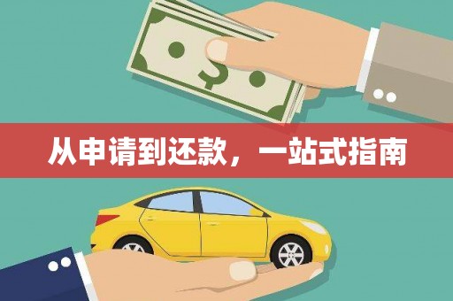 凤凰从申请到还款，一站式指南
