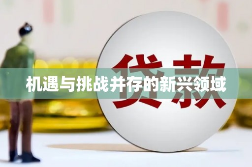 凤凰机遇与挑战并存的新兴领域