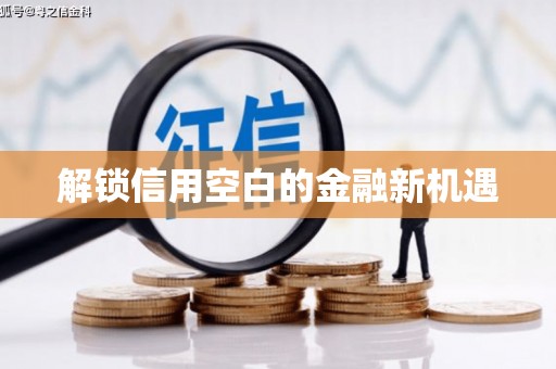 凤凰解锁信用空白的金融新机遇
